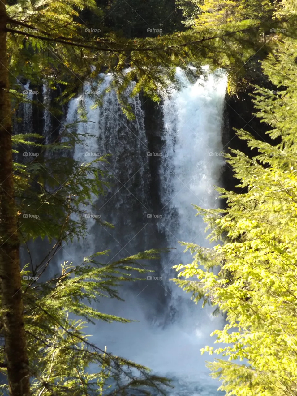 Waterfall 