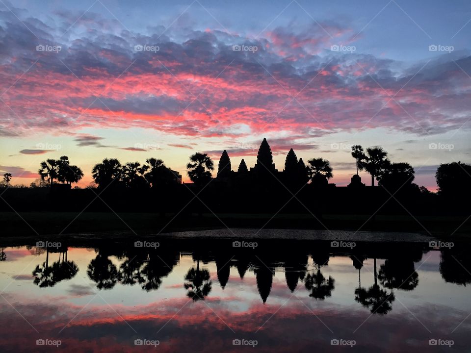 Tress reflecting on lake