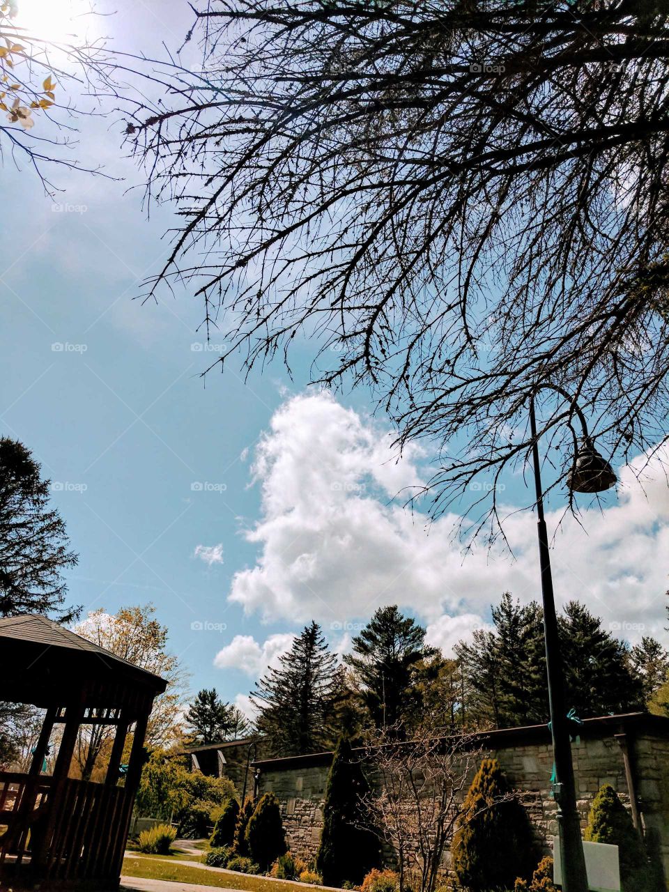 Cloud Gazing on Lees-McRae College Campus in the Spring, North Carolina, USA