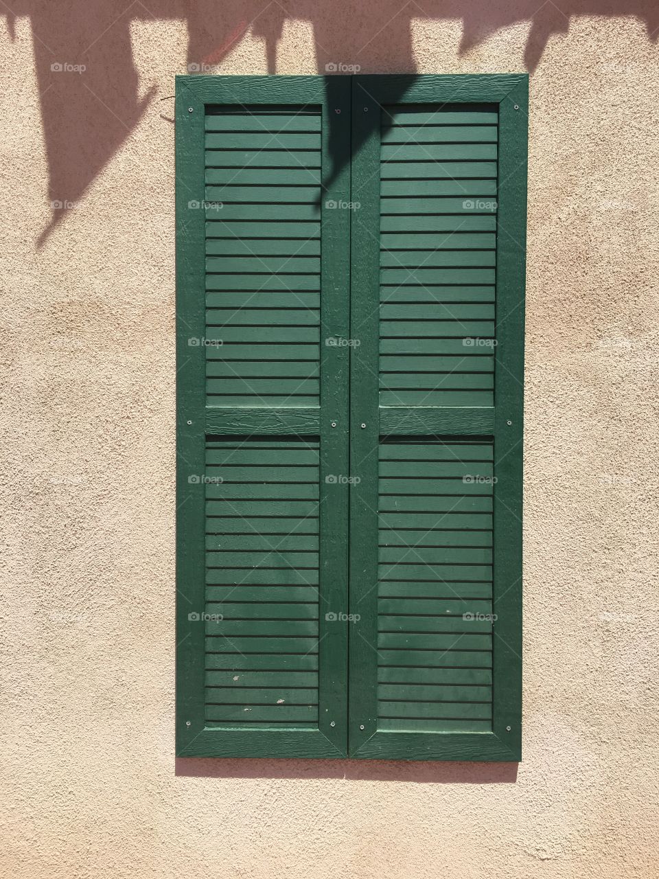 Green door 🚪 