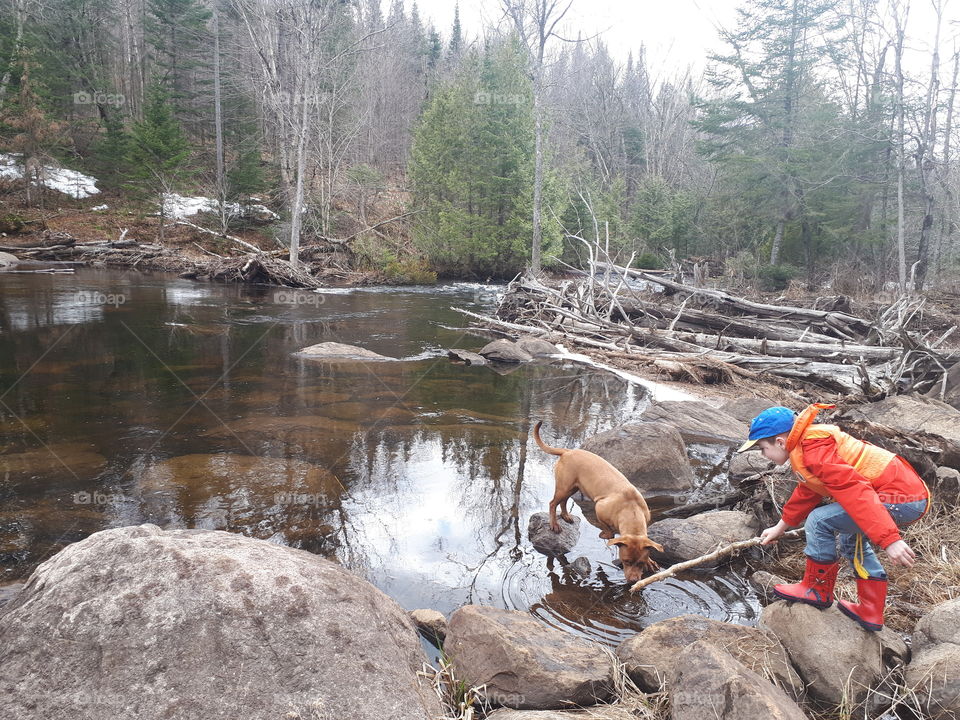 Little boys playing with a dog on the river side in early spring 