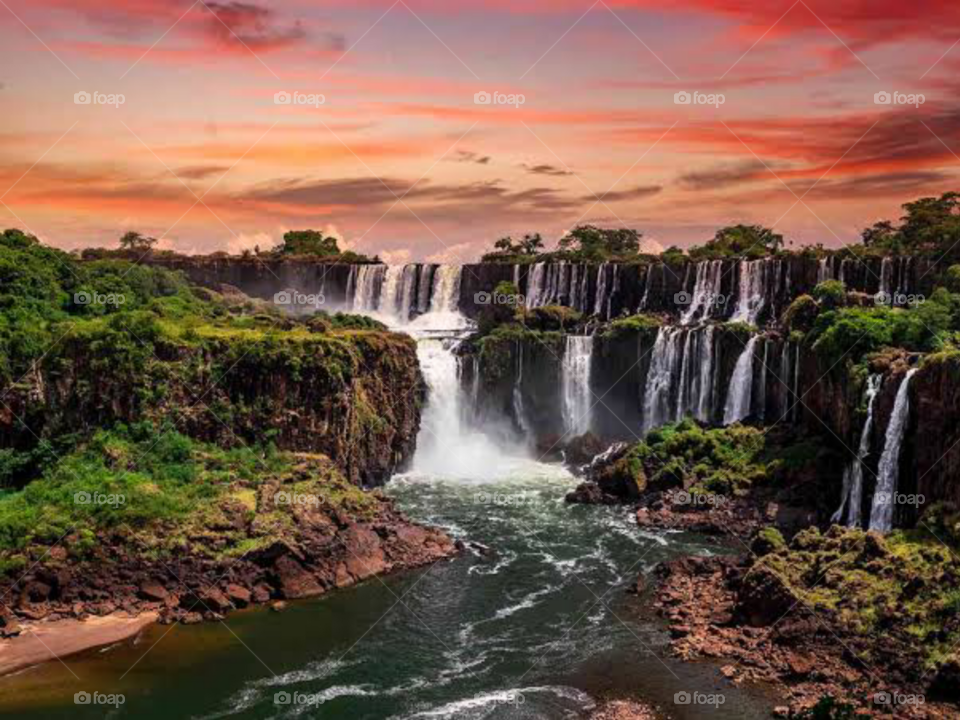 The Beautiful Nature Vibes