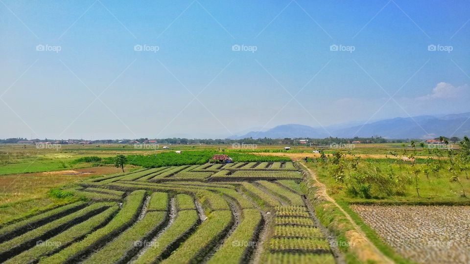 picture was taken from the inside of moving train