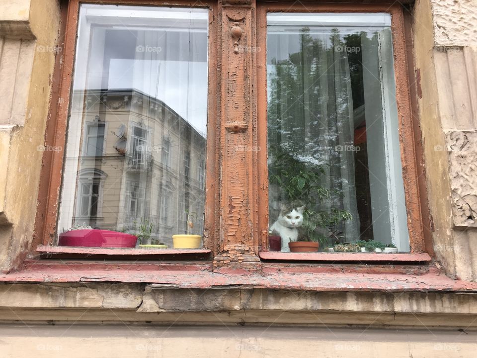 Window, House, Architecture, Building, Old