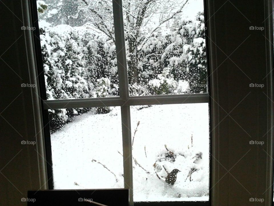 snow window view
