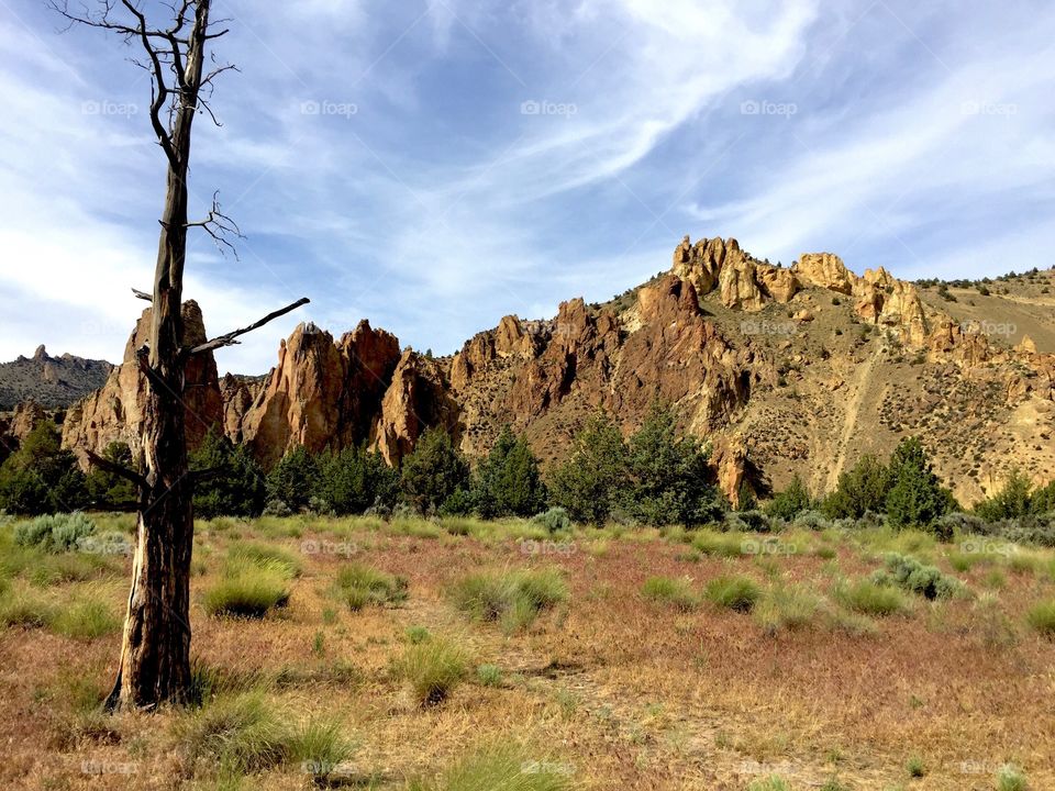 The jagged rocks of Smith Rock State Park contrasted against a dramatic blue sky and a dead tree in the foreground on a sunny day.