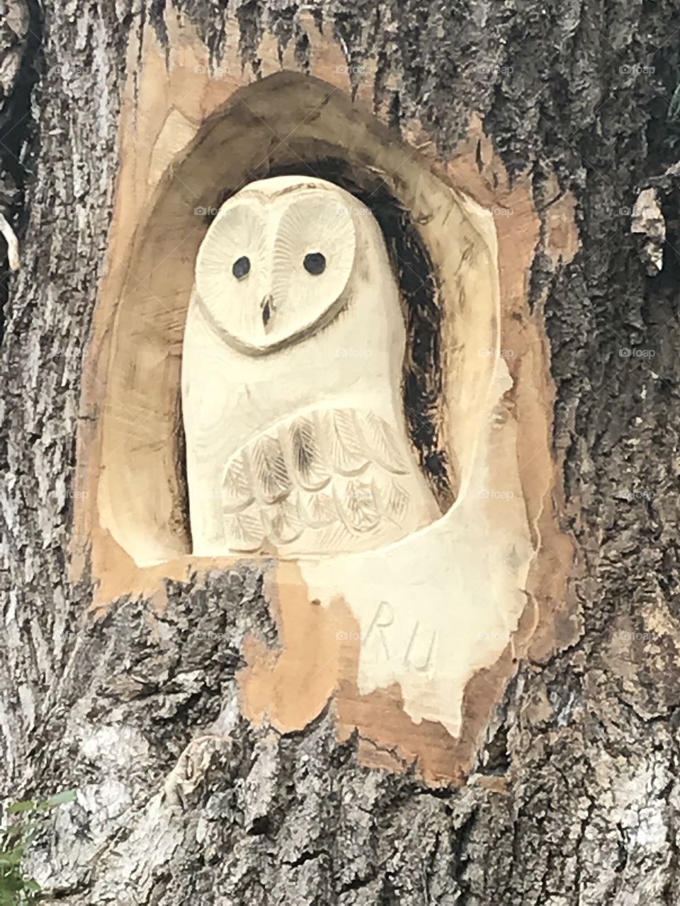 Wooden carving in a tree 
