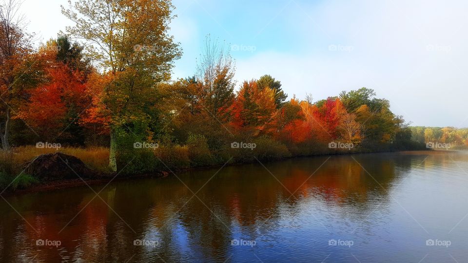 Autumn trees reflected on lake