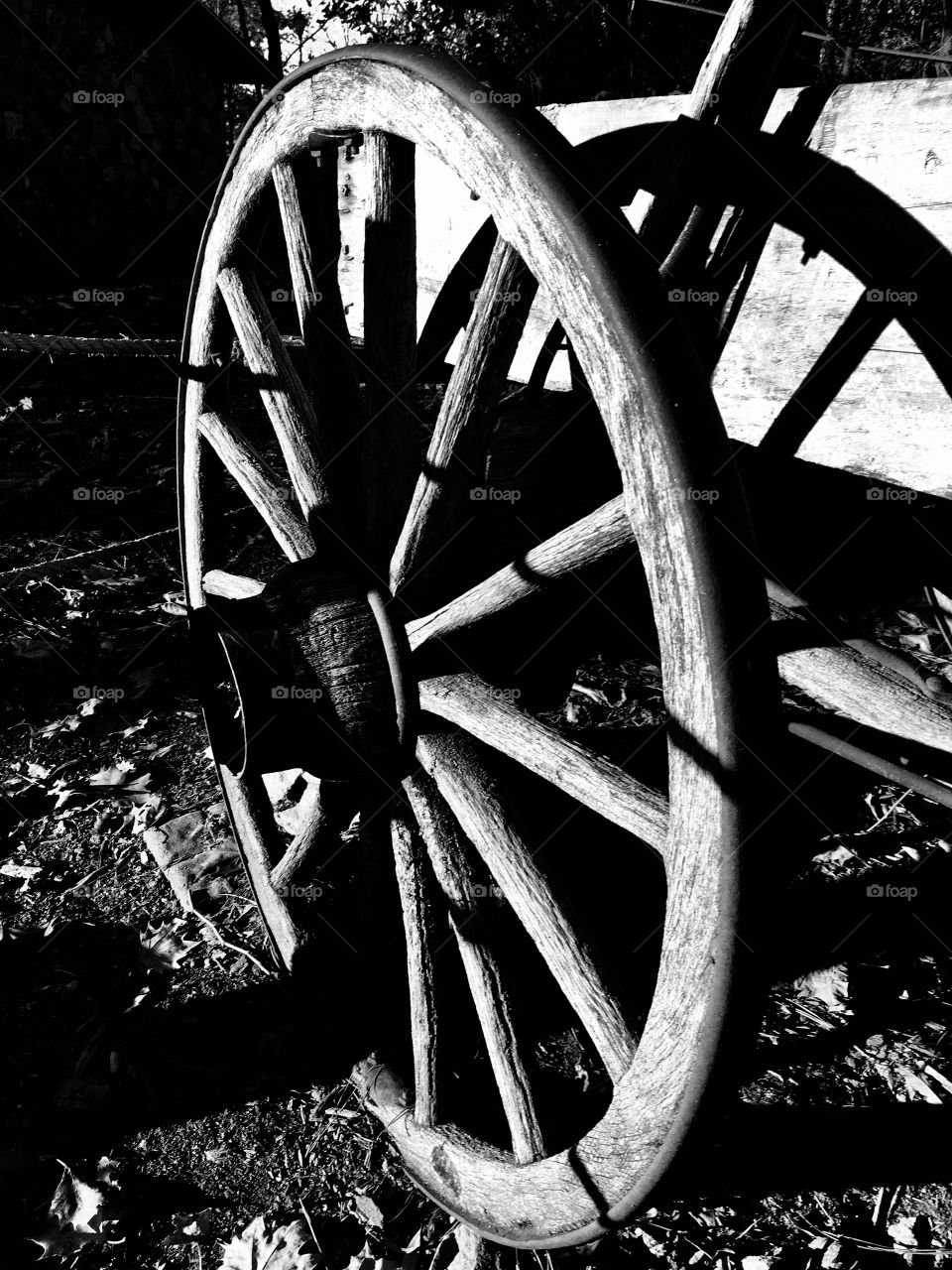 Old wagon wheel at Yates Mill Park