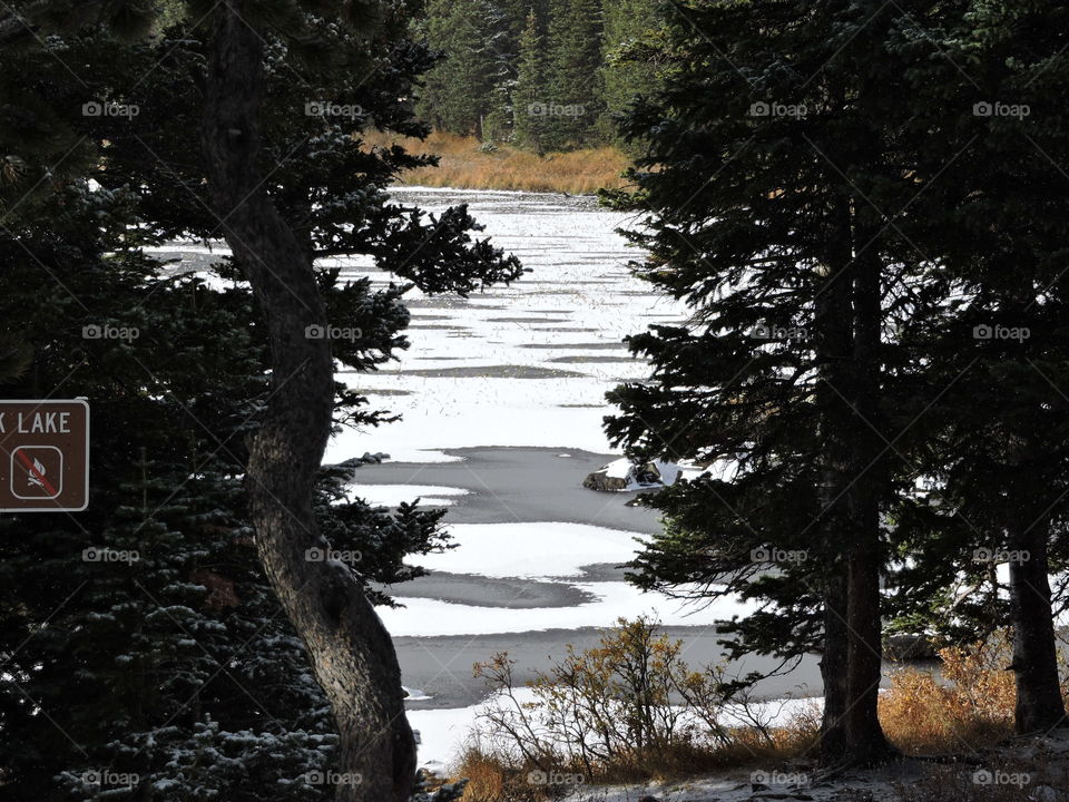 Winter Lake