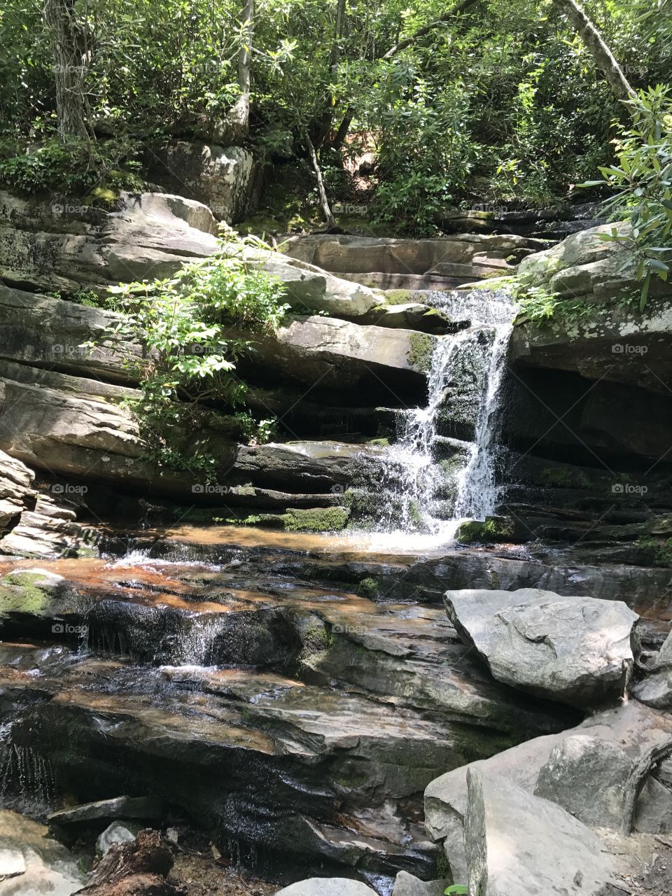 Beautiful Nature Rock Water at Hanging Rock State Park in Danbury, North Carolina