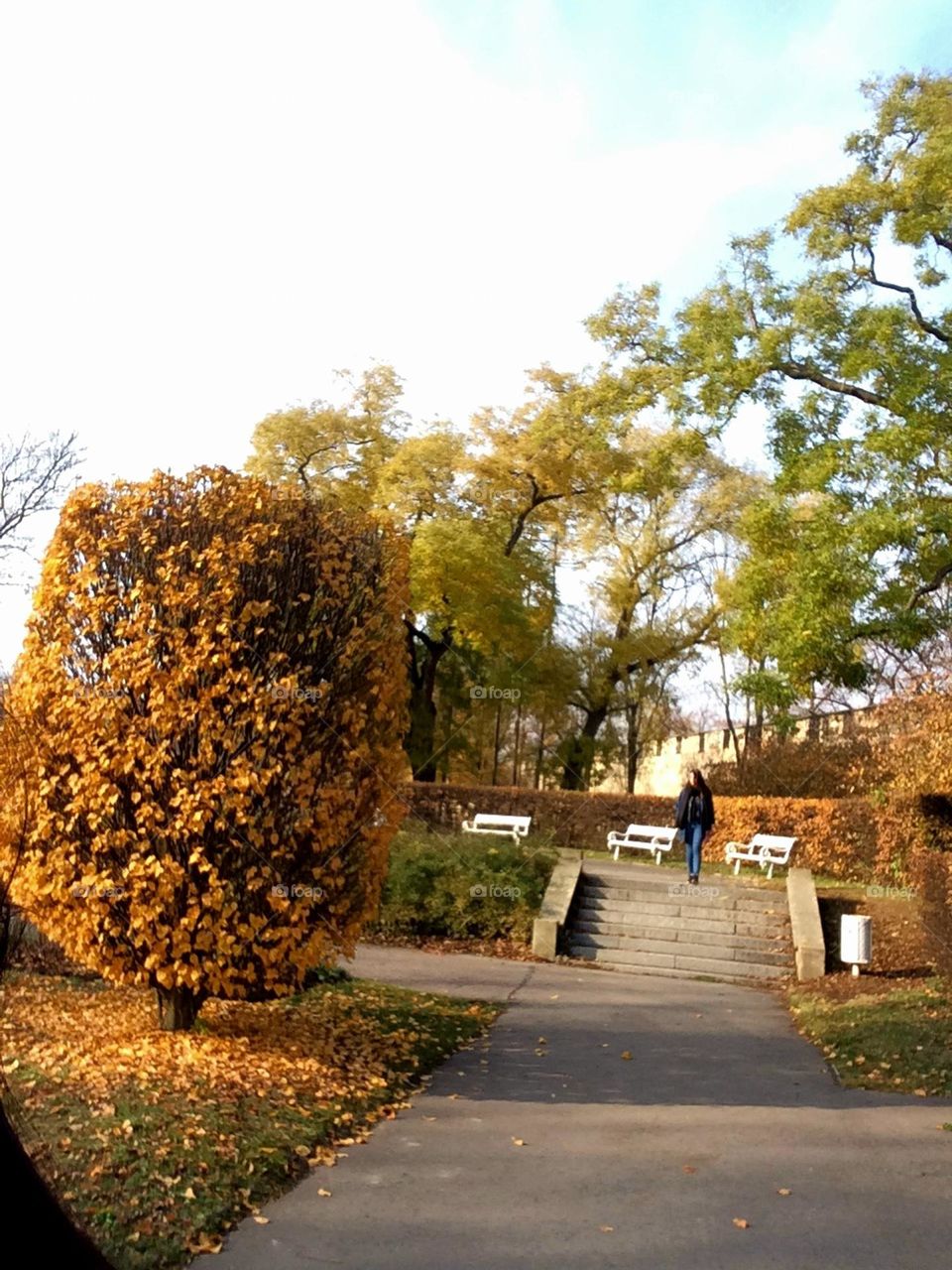 Autumn in Prague 🍂