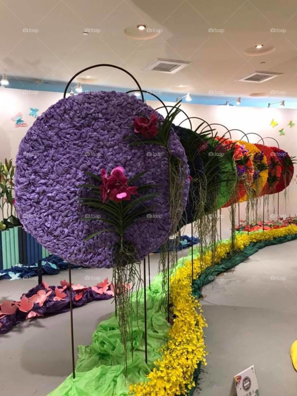 Flower Expo
