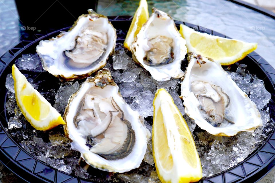 Fresh Oyster