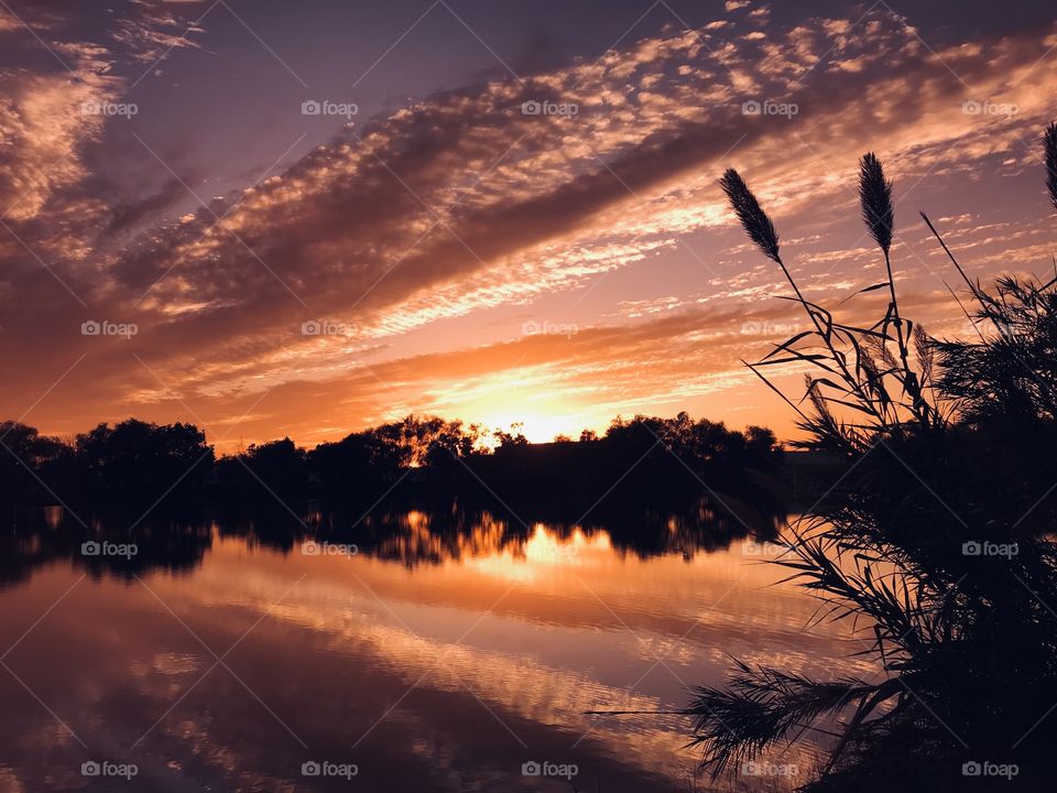 Twilight in full swing extracting Multiples of Colors Per the Fall Seasons request. Time to Comply with Mother Nature. 