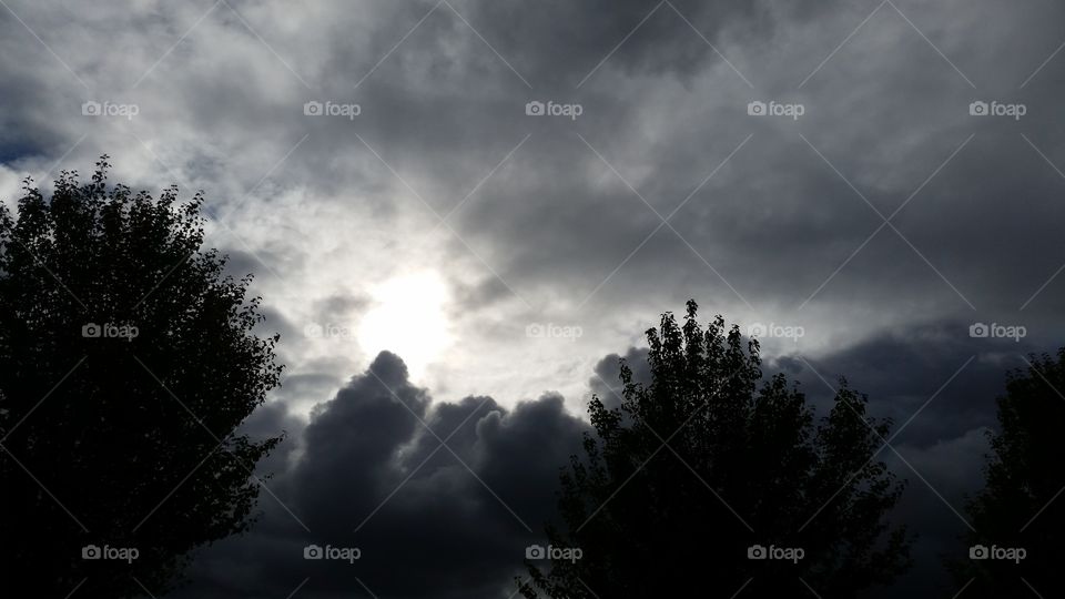 sun behind clouds above trees