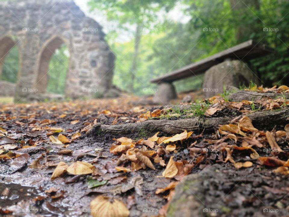 Magic history place in the forest