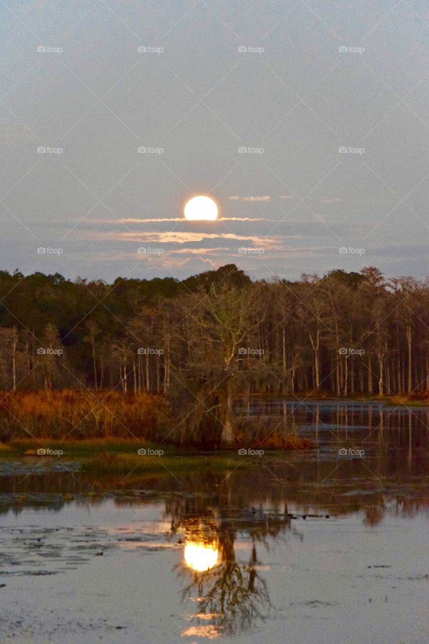 Florida Winter Night