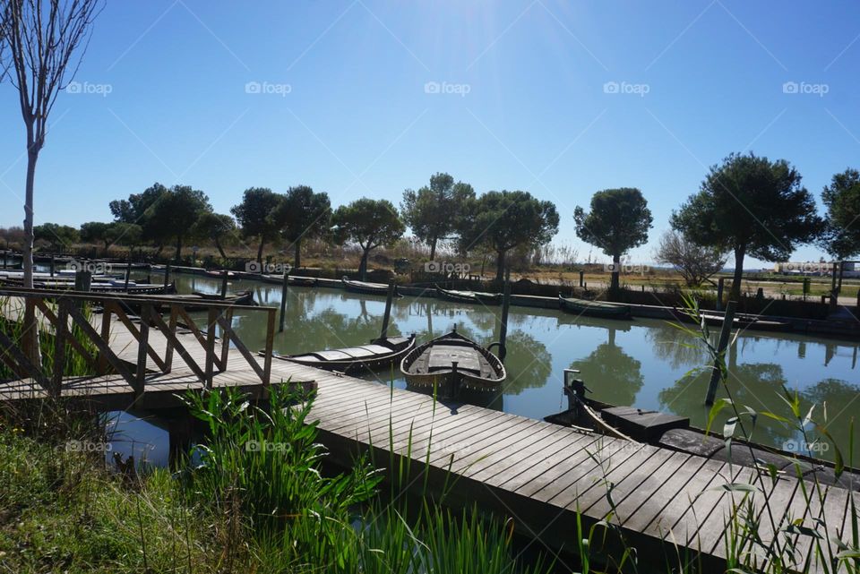 Port#boats#lake#nature#wood#walk