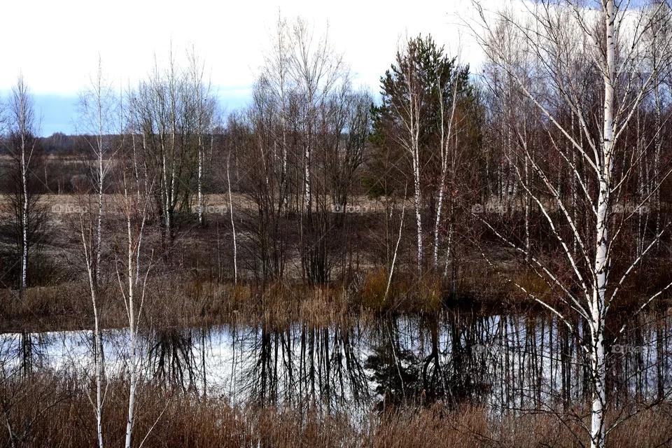 nature