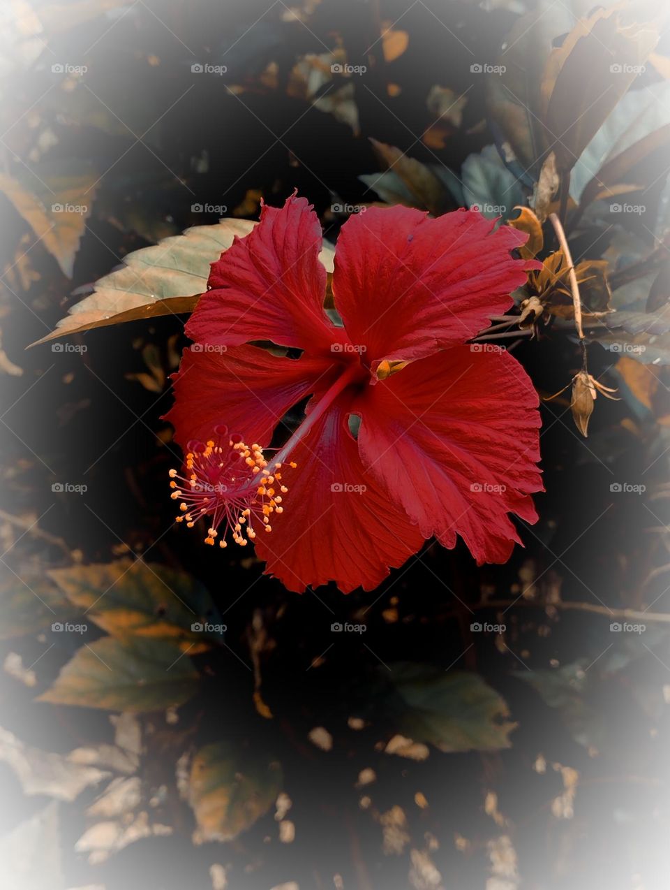 Lonely things are sometimes more noticeable...