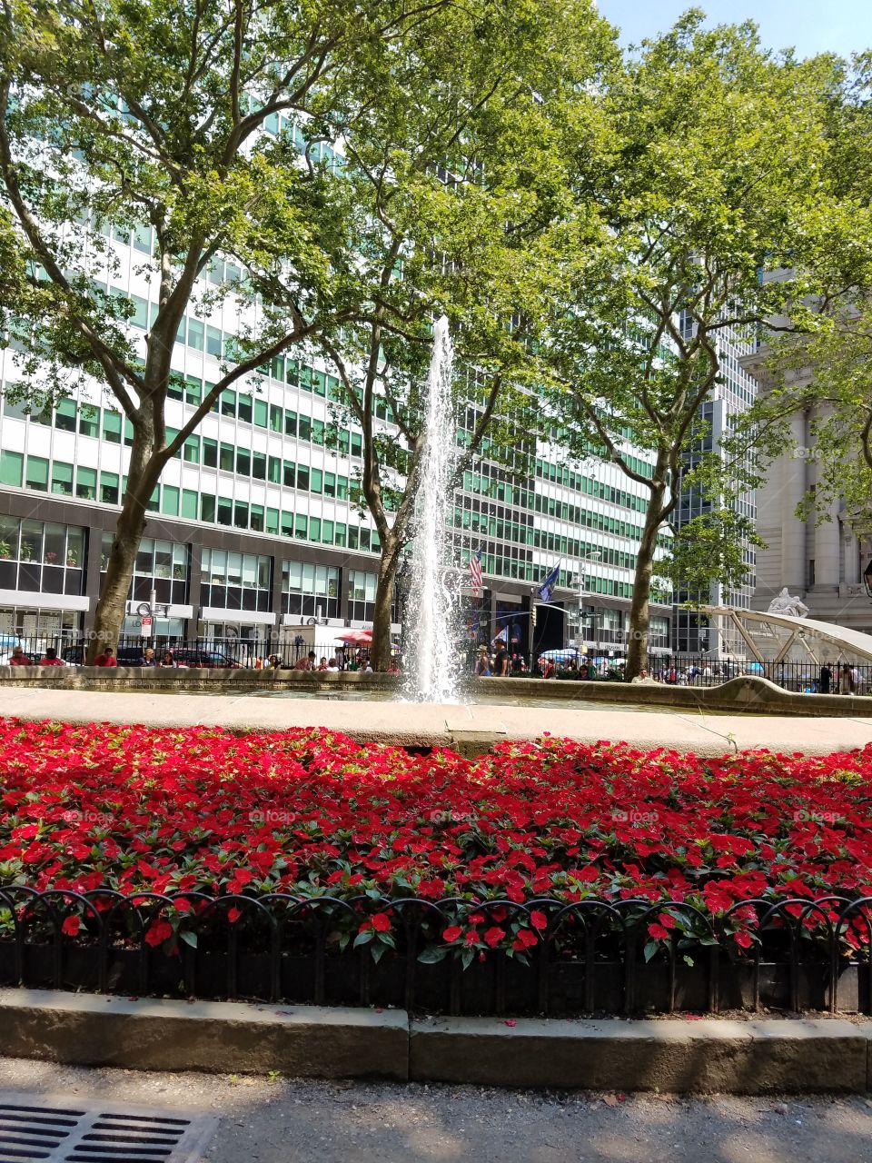 City, Garden, Park, No Person, Building