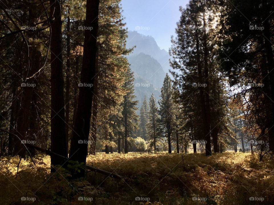 Autumn mountain range view