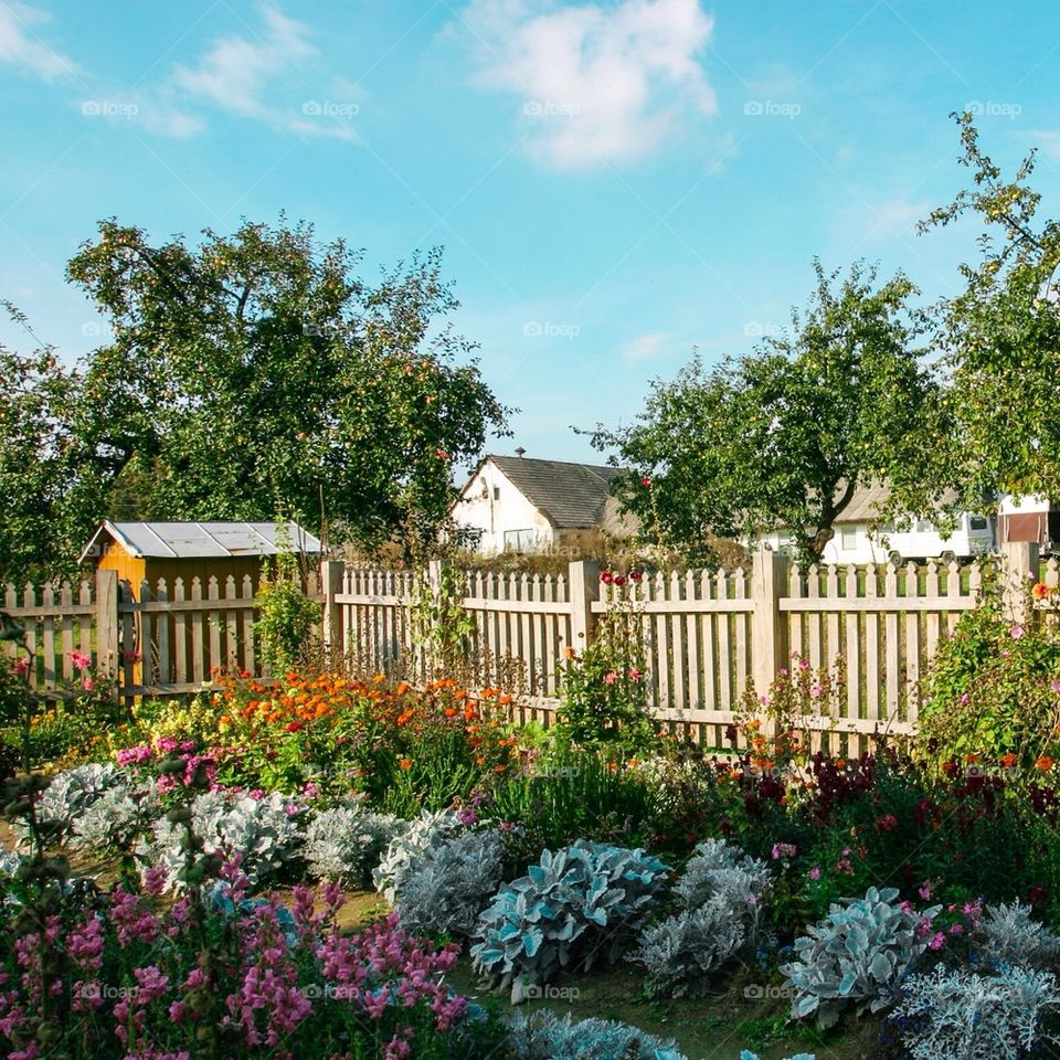 plant countryside cottage no people by przemekklos