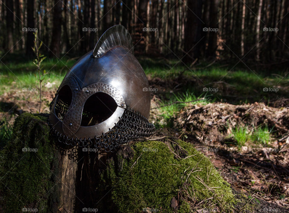 Viking helmet at the cut tree