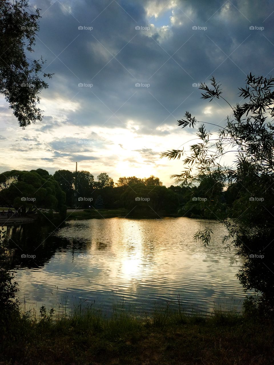 Sunset over the pond in the botanical garden.  Moscow