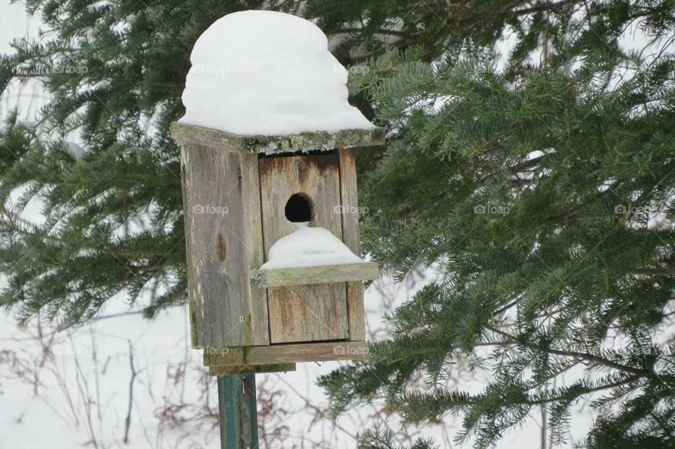 waiting for next spring