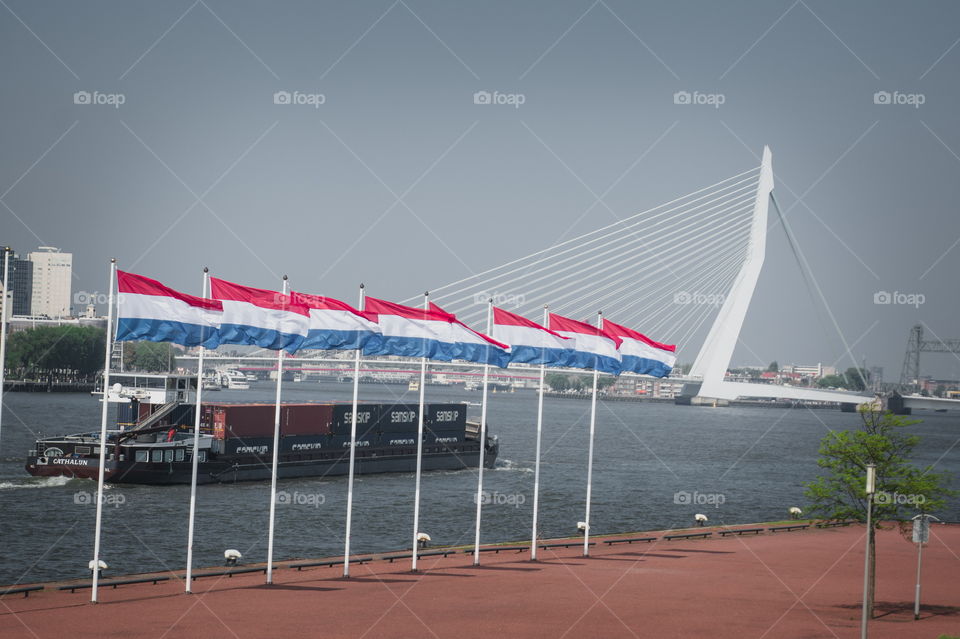 The Erasmus bridge in Rotterdam