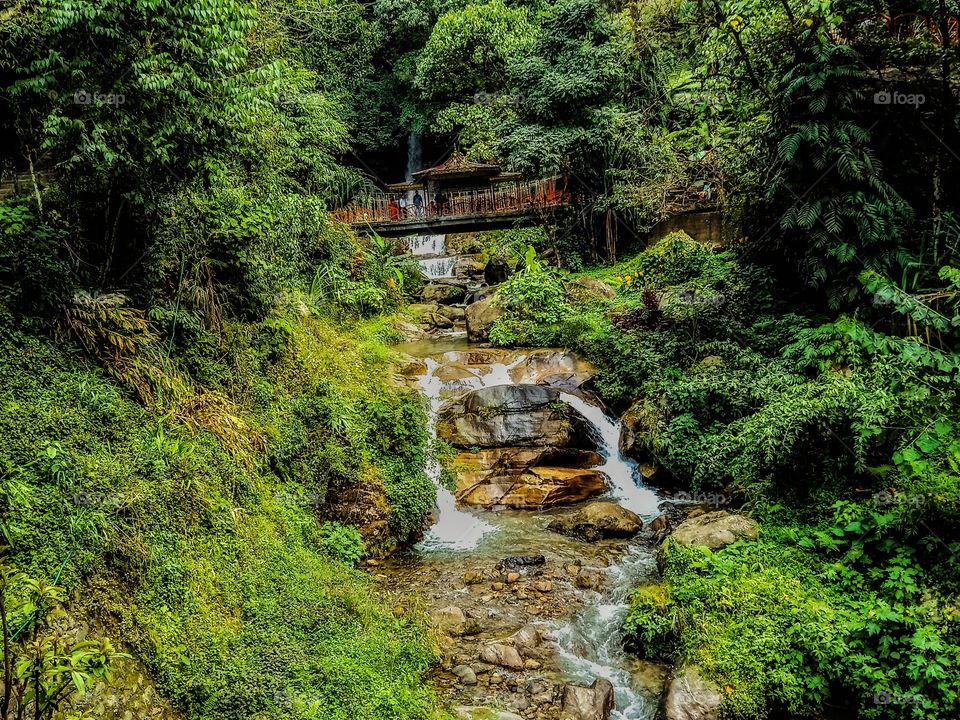 green earth,clean earth