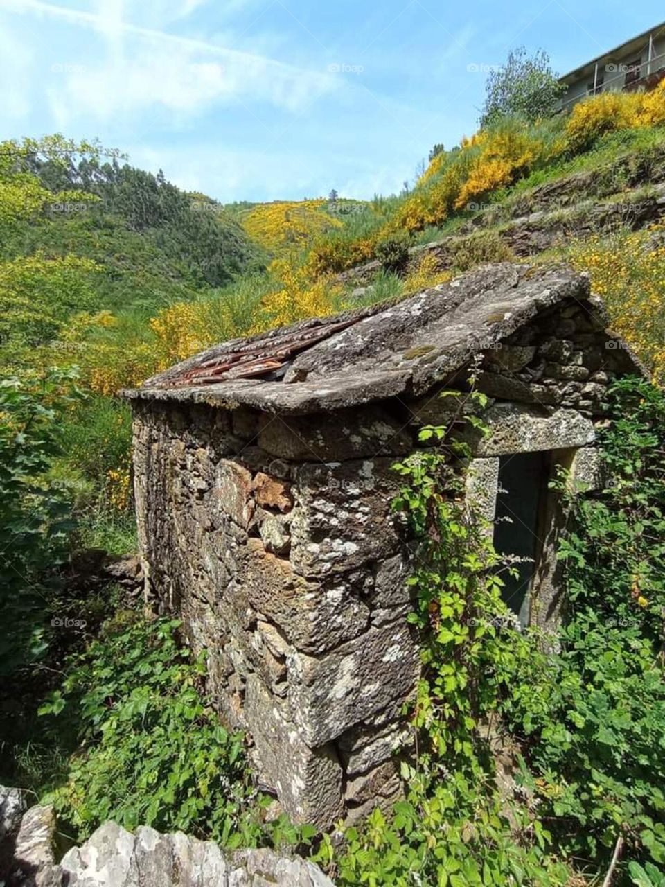 Ancient historical stone house