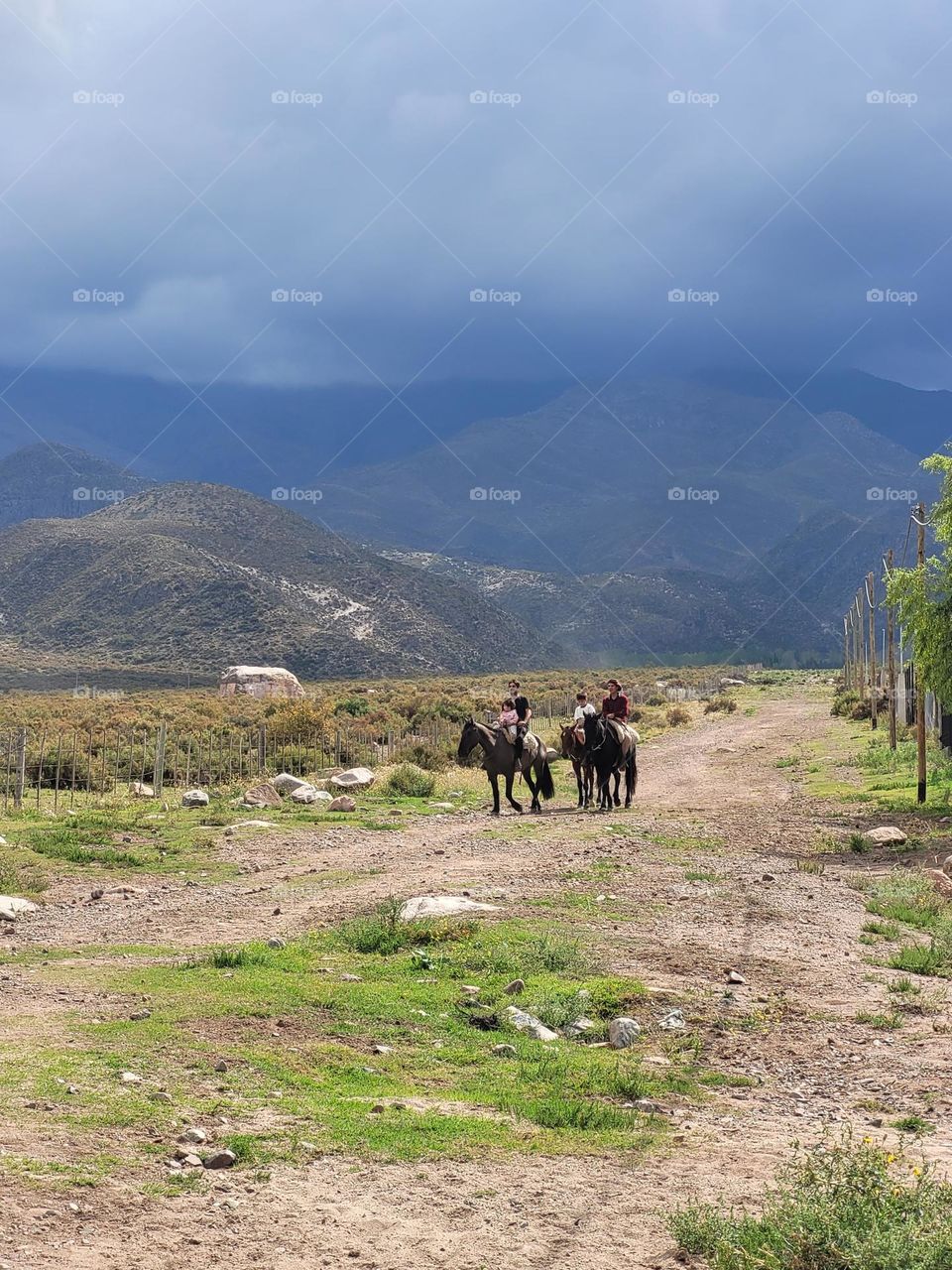 cabalgata cerca de la montaña mendocina