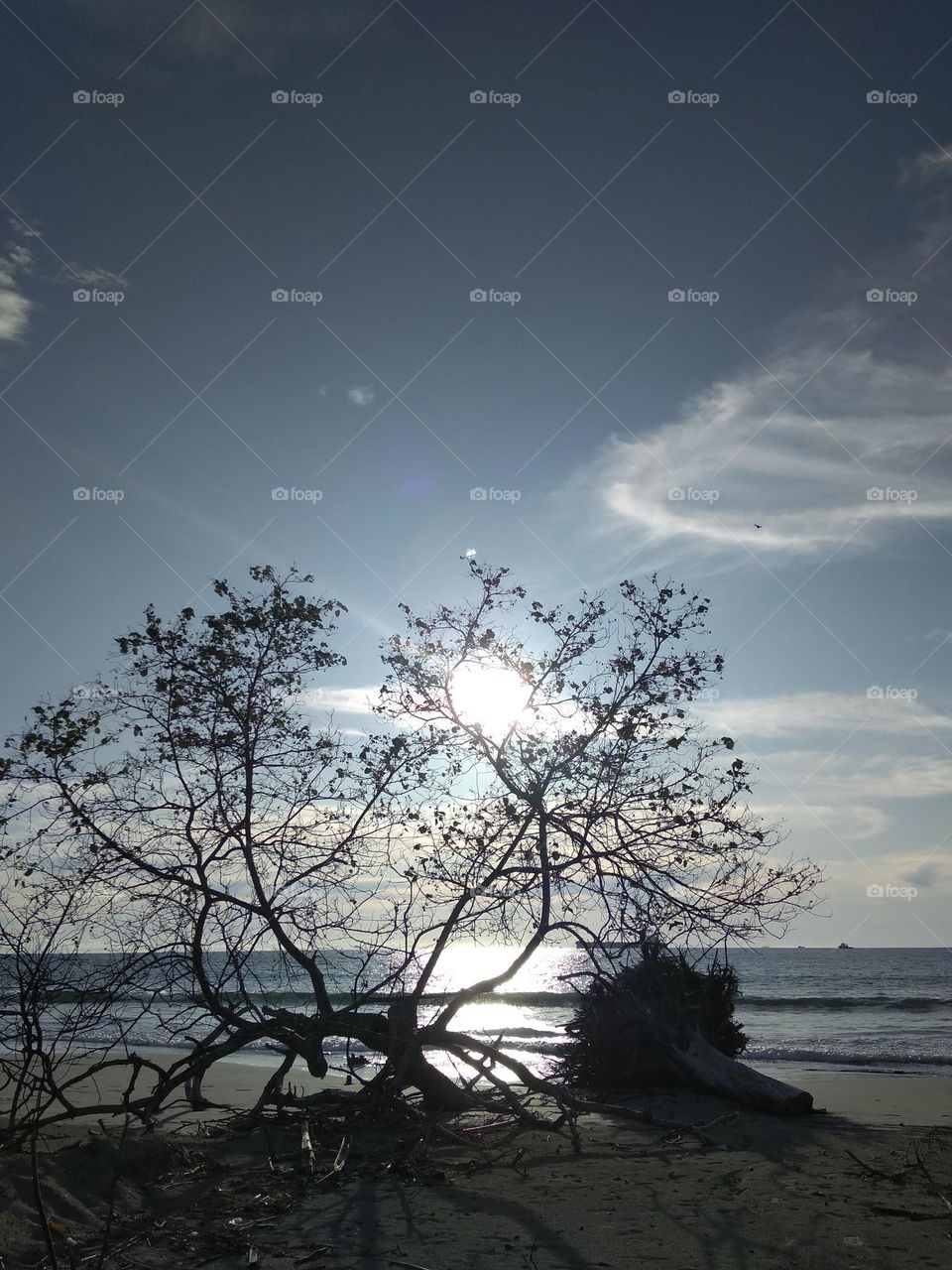 sunset beatiful part 1