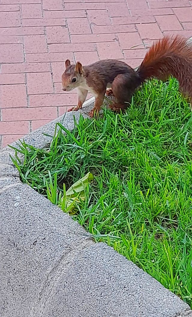 vacaciones en la ciudad