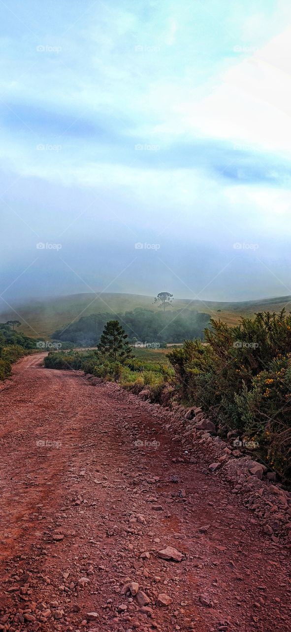 Mountain road landscape