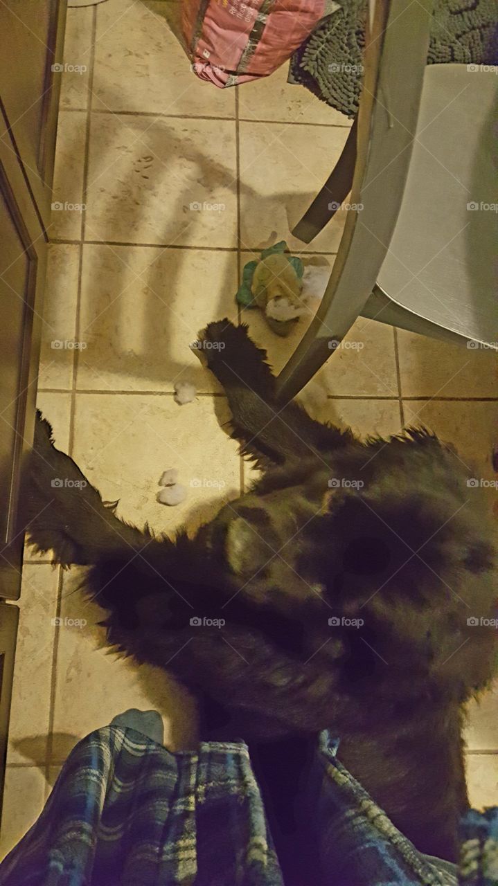 Wear, People, Painting, One, Adult