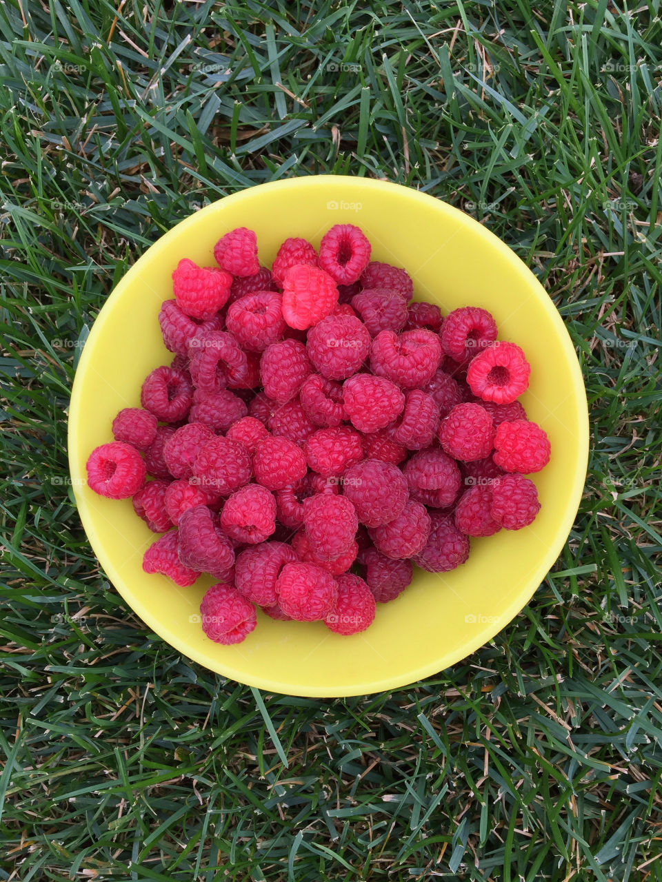 Raspberries
