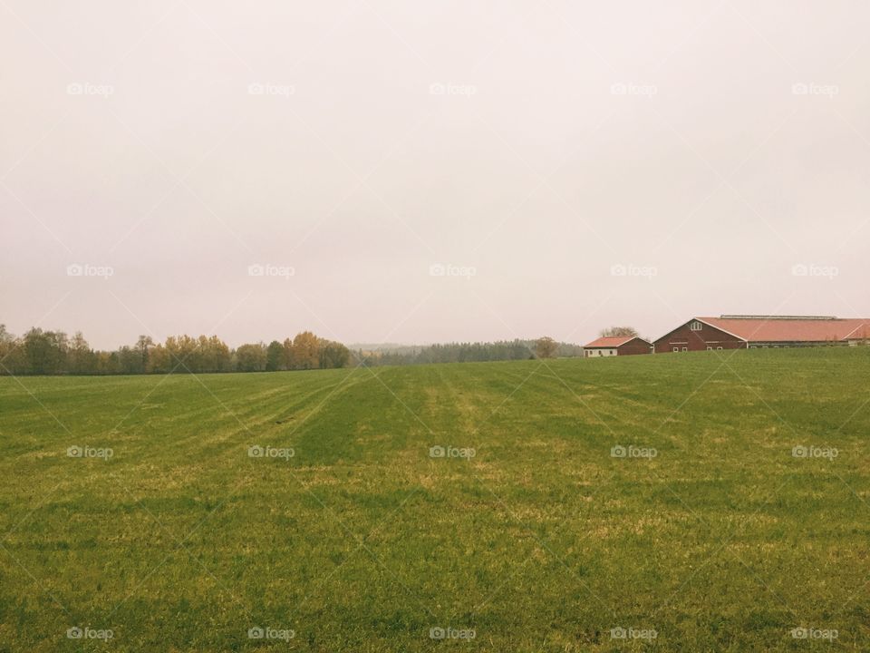 Farmlife and country landscape