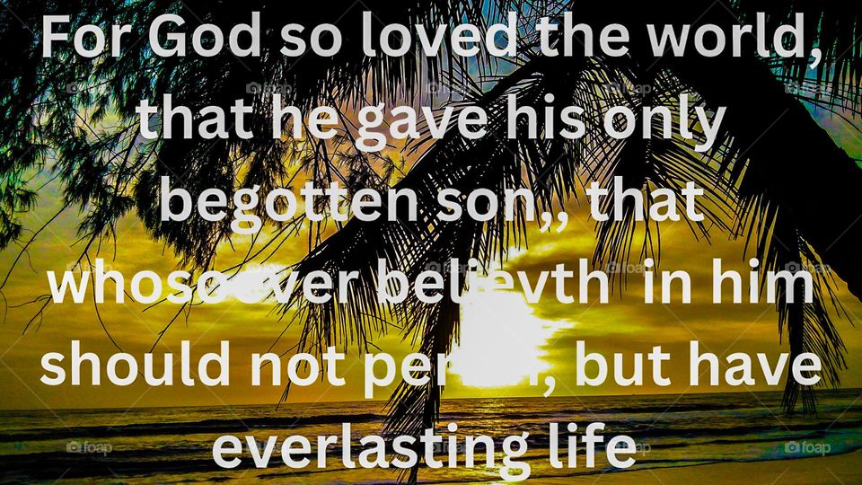 A -life changing sight