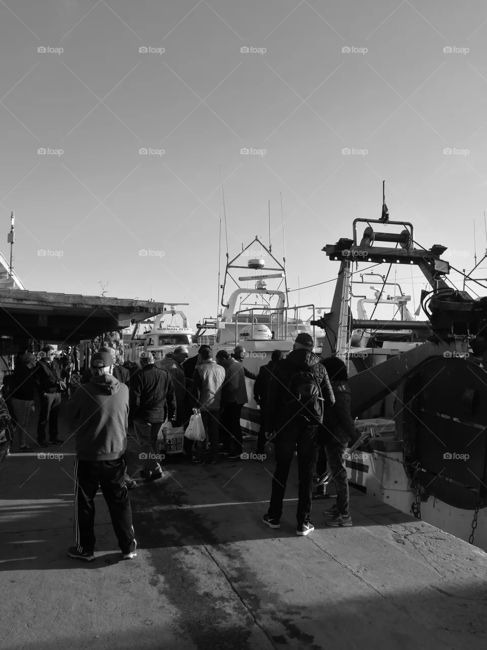 harbor