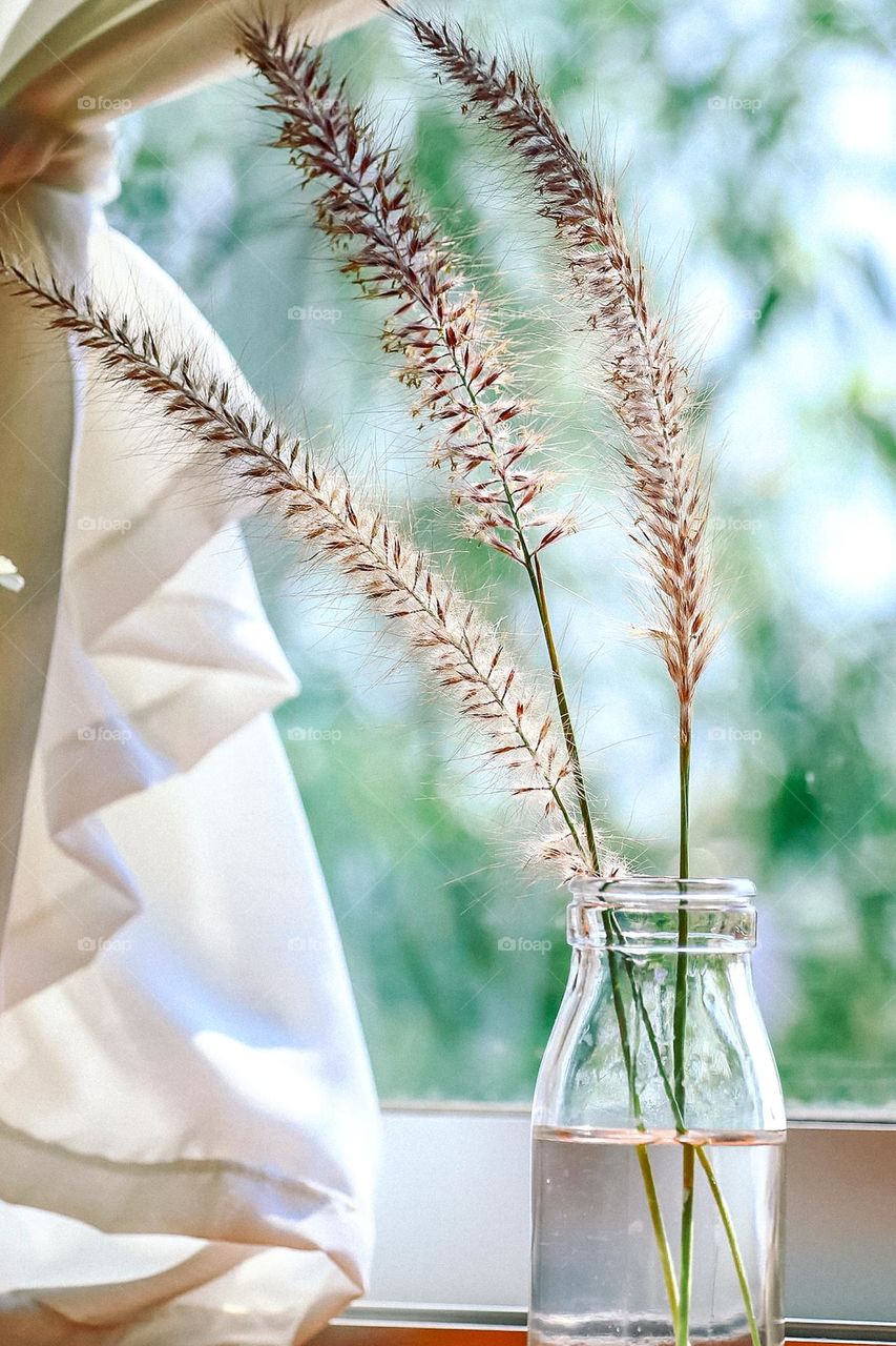 Flowers in a Vase