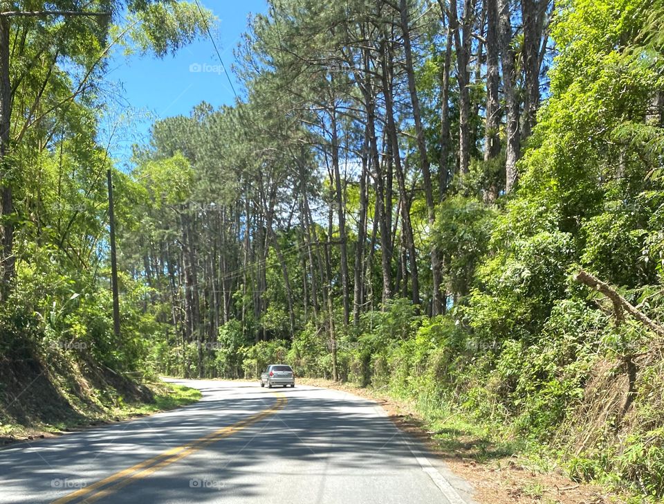 Paths that transmit peace.