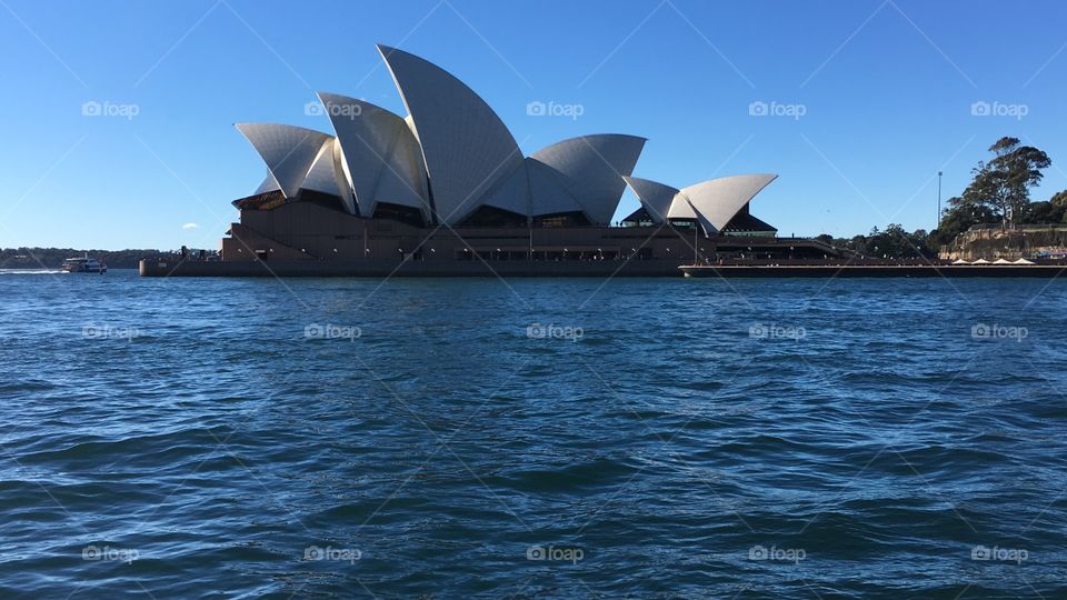 Sydney opera house 