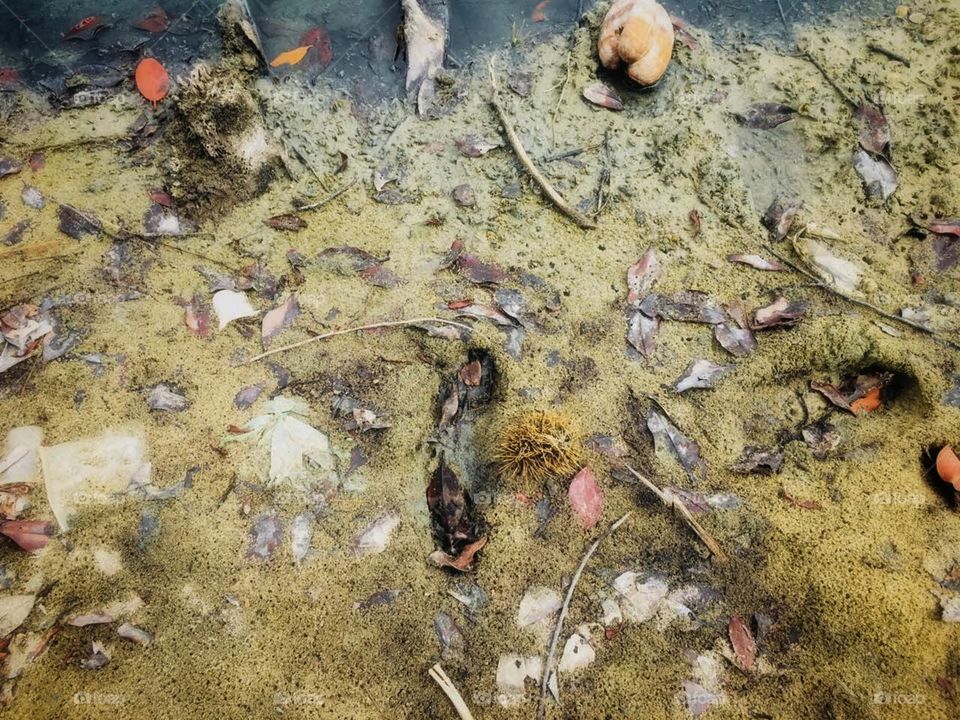 Texture of Natural Garbage