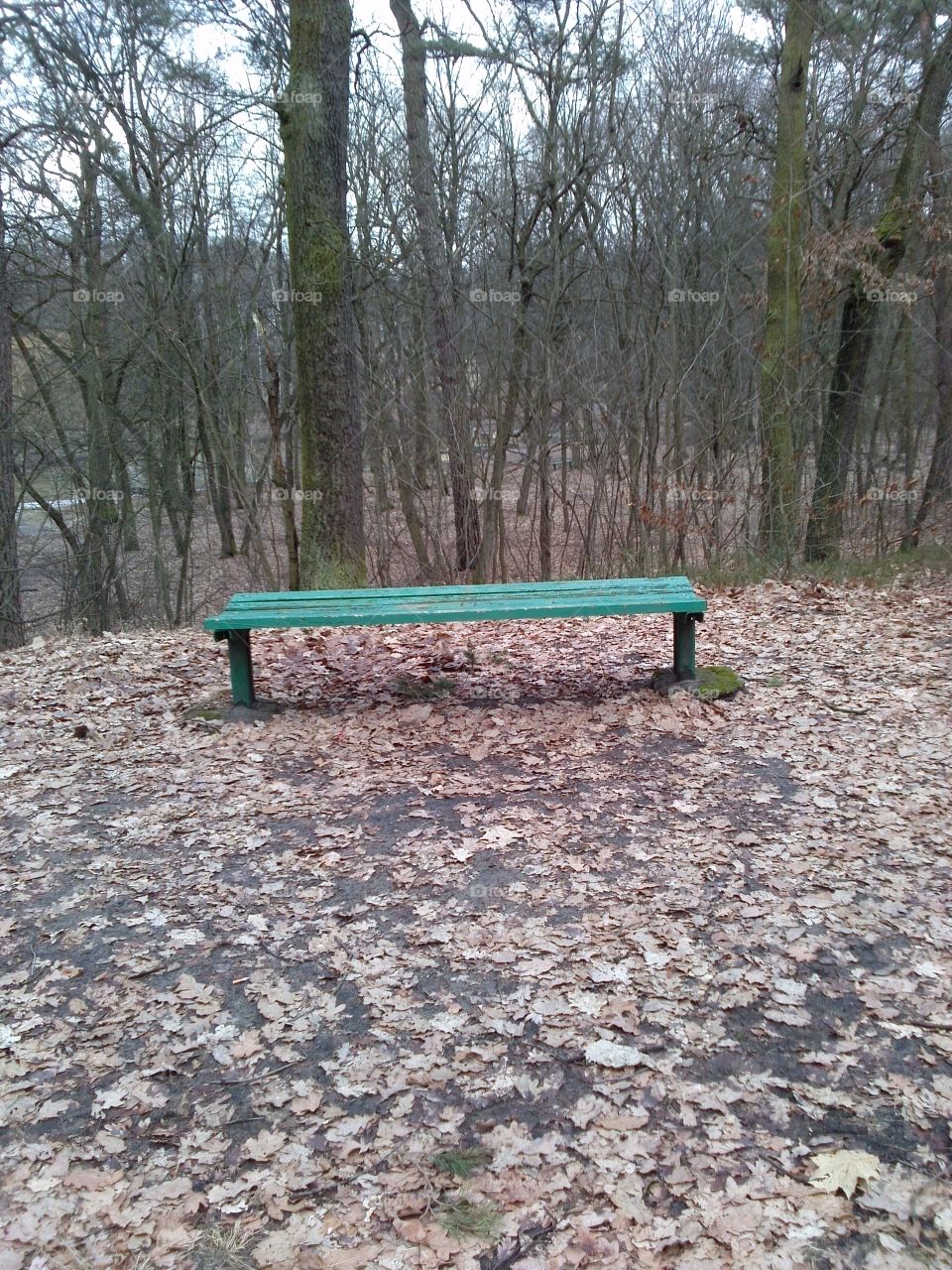 lonely bench