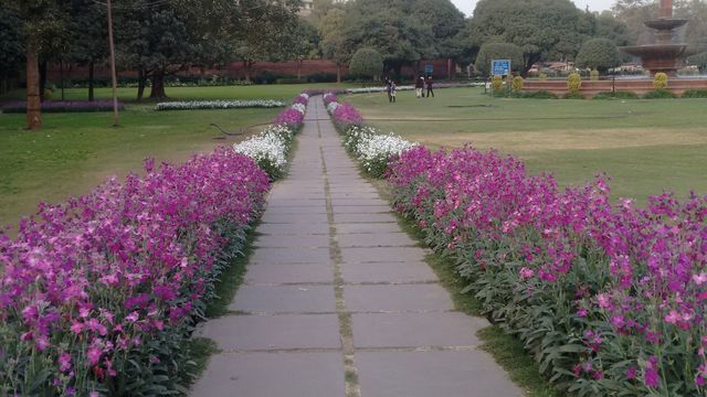 Walkway