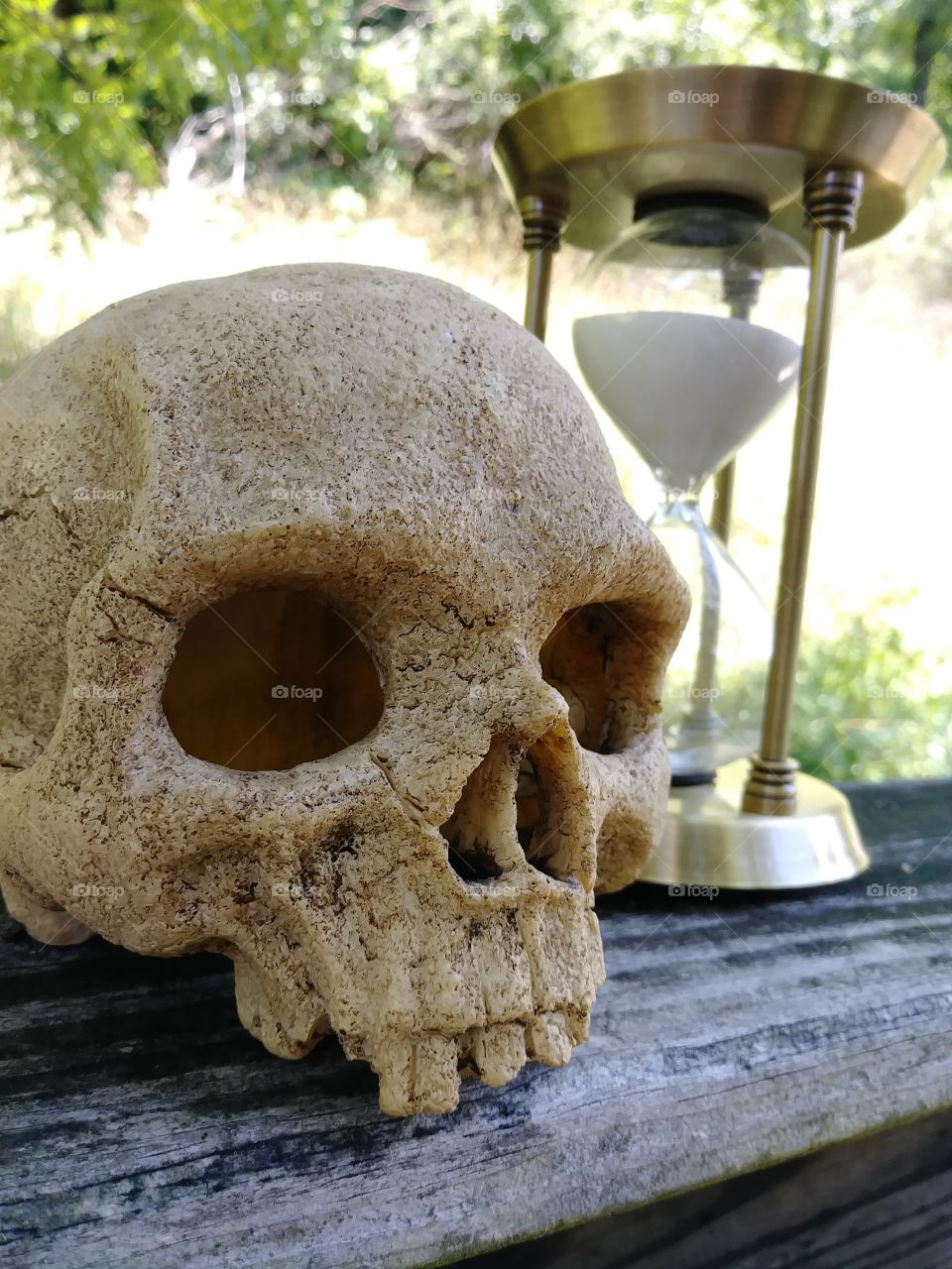 The image of a human skull sits with an hourglass under dappled light. Time waits for no man.